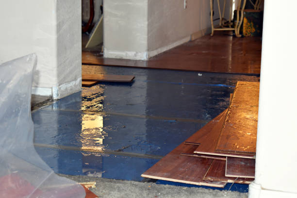 Professional Water Extraction technician working in Harwood, ND